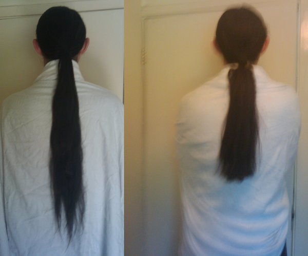 Two photos of me from behind. The first I have long hair all the way down my back. In the second, a good 20cm has been trimmed from it.