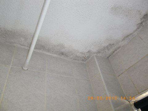 more mould in the bathroom