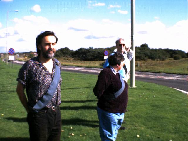 Three protesters stand by the road.