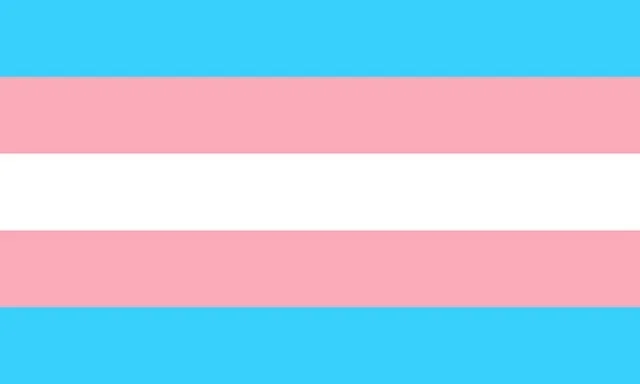 Trans pride flag.