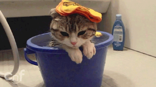 A soaking wet pussy.