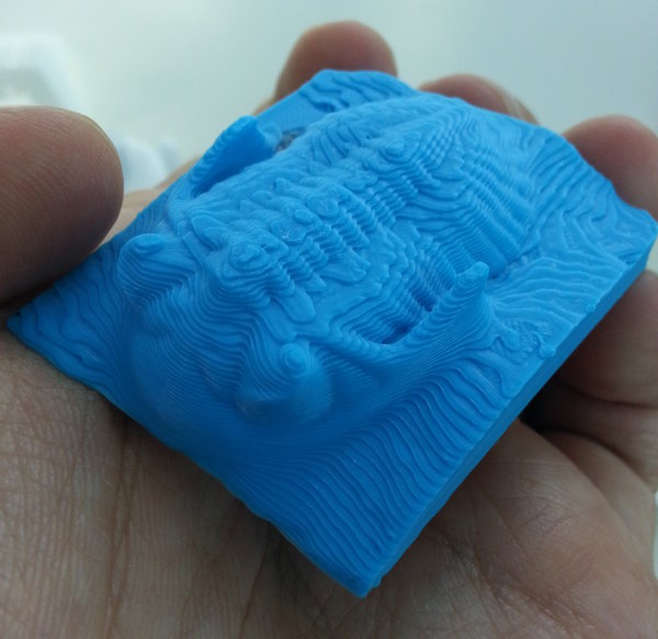 3D trilobite 1