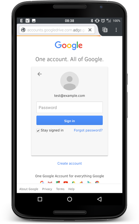 Fake Google password field