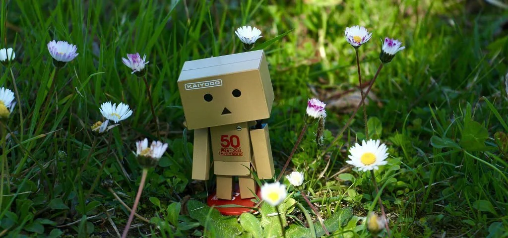 A confused little cardboard robot is lost amongst the daisies