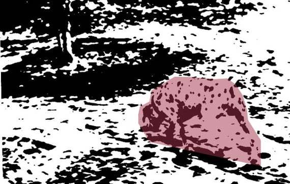 The same dotty image with an area highlighted. It appears to show a dog.