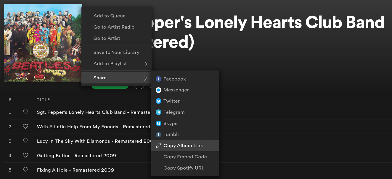 Spotify screen showing options.