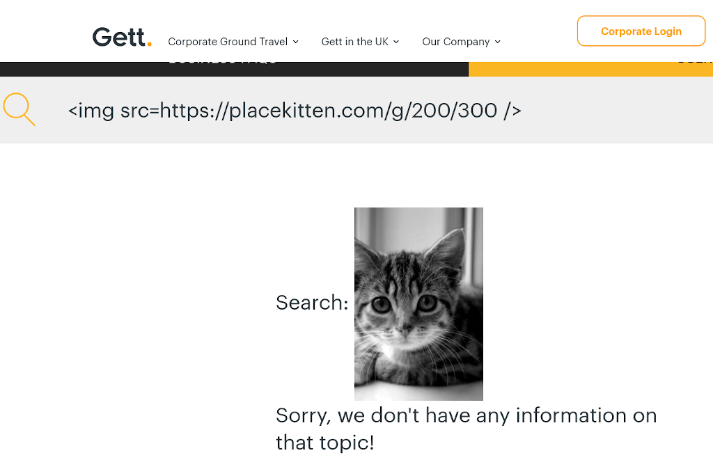 A kitten on a webpage.