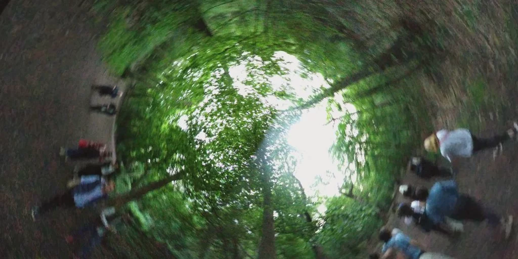 people walking through the woods.