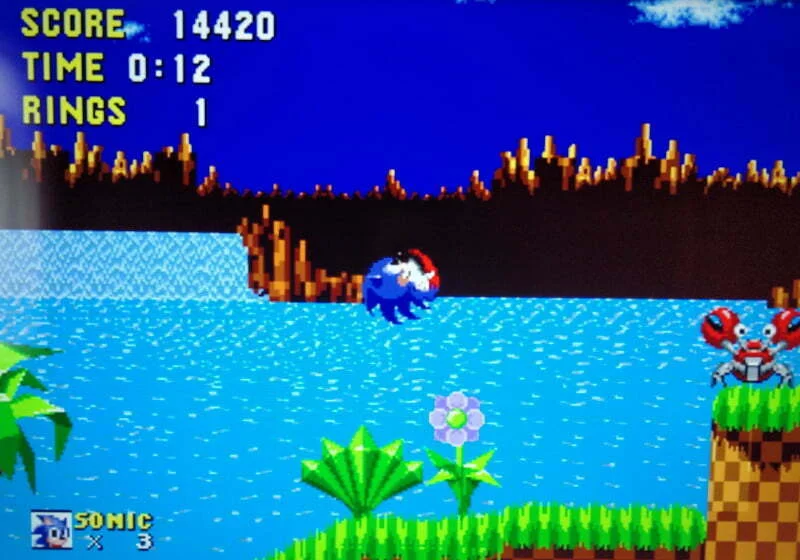 Sonic the Hedgehog jumping around the screen.