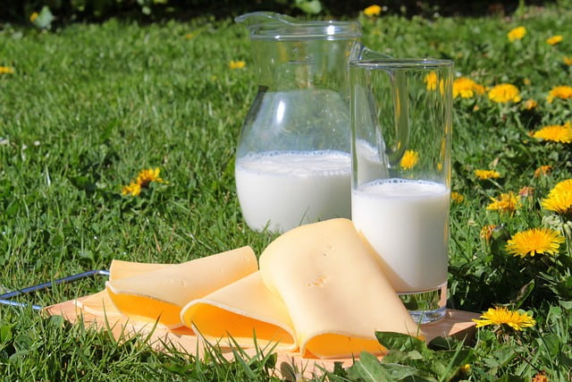 Photo of a glass of milk and some cheese in a field of grass.