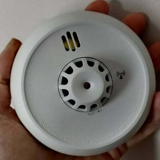 A round alarm unit. It fits in the palm of my hand.