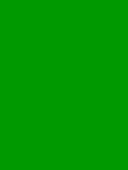 A small green rectangle.