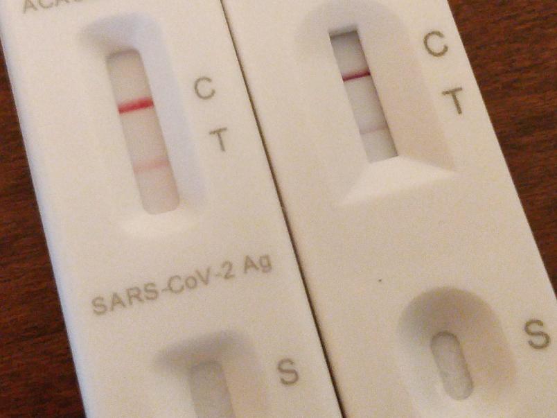 Two lateral flow devices next to each other - both with red positive stripes.