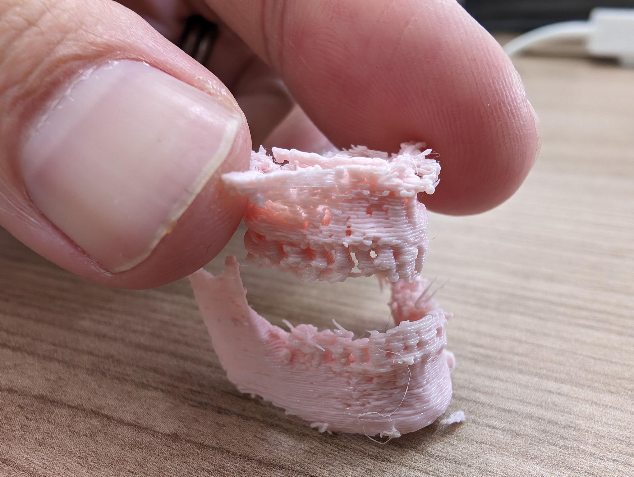 A tiny 3D printed Jaw.