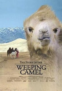Film poster featuring a camel.