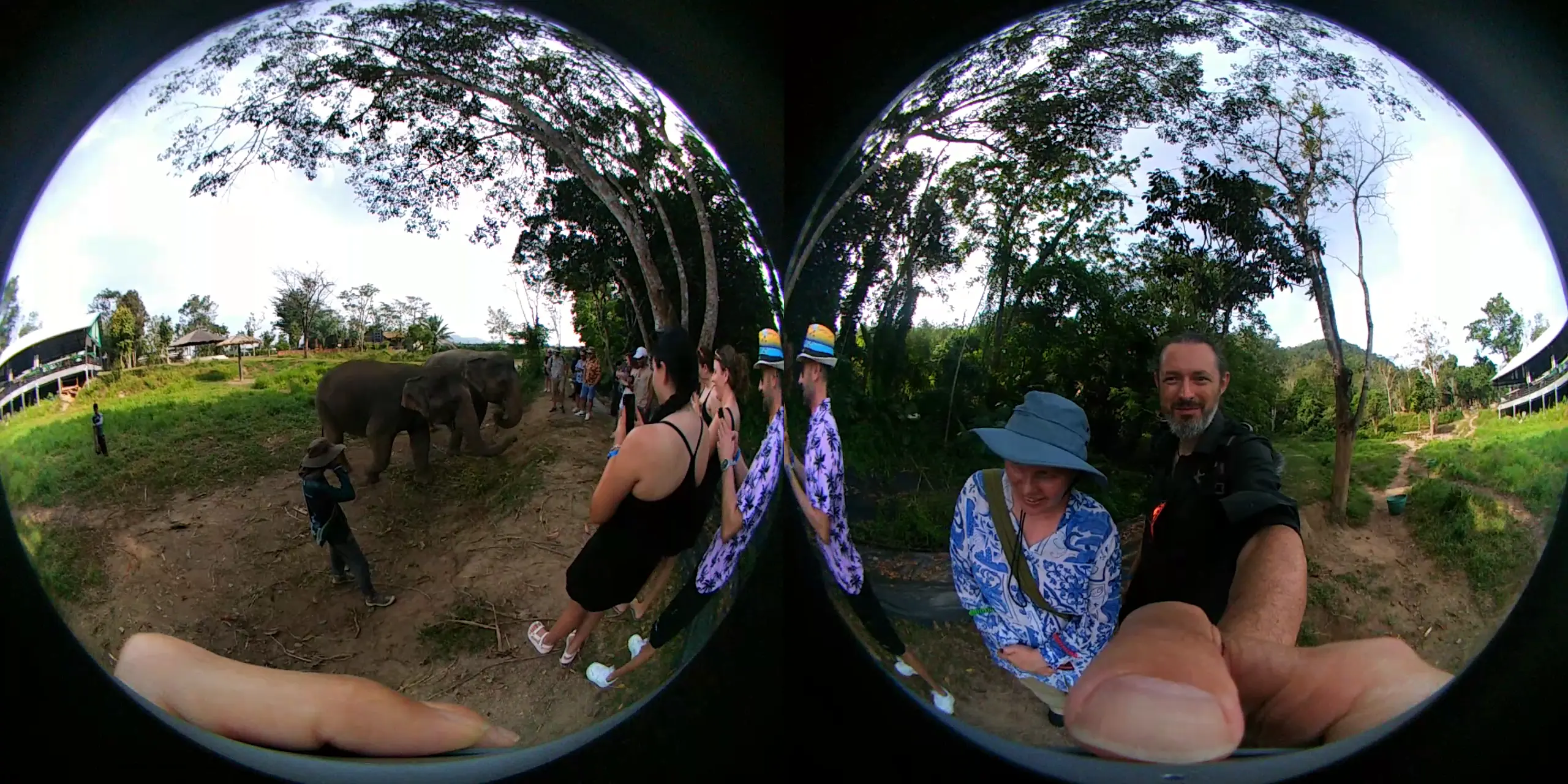 Dual fisheye photo of us and some elephants.