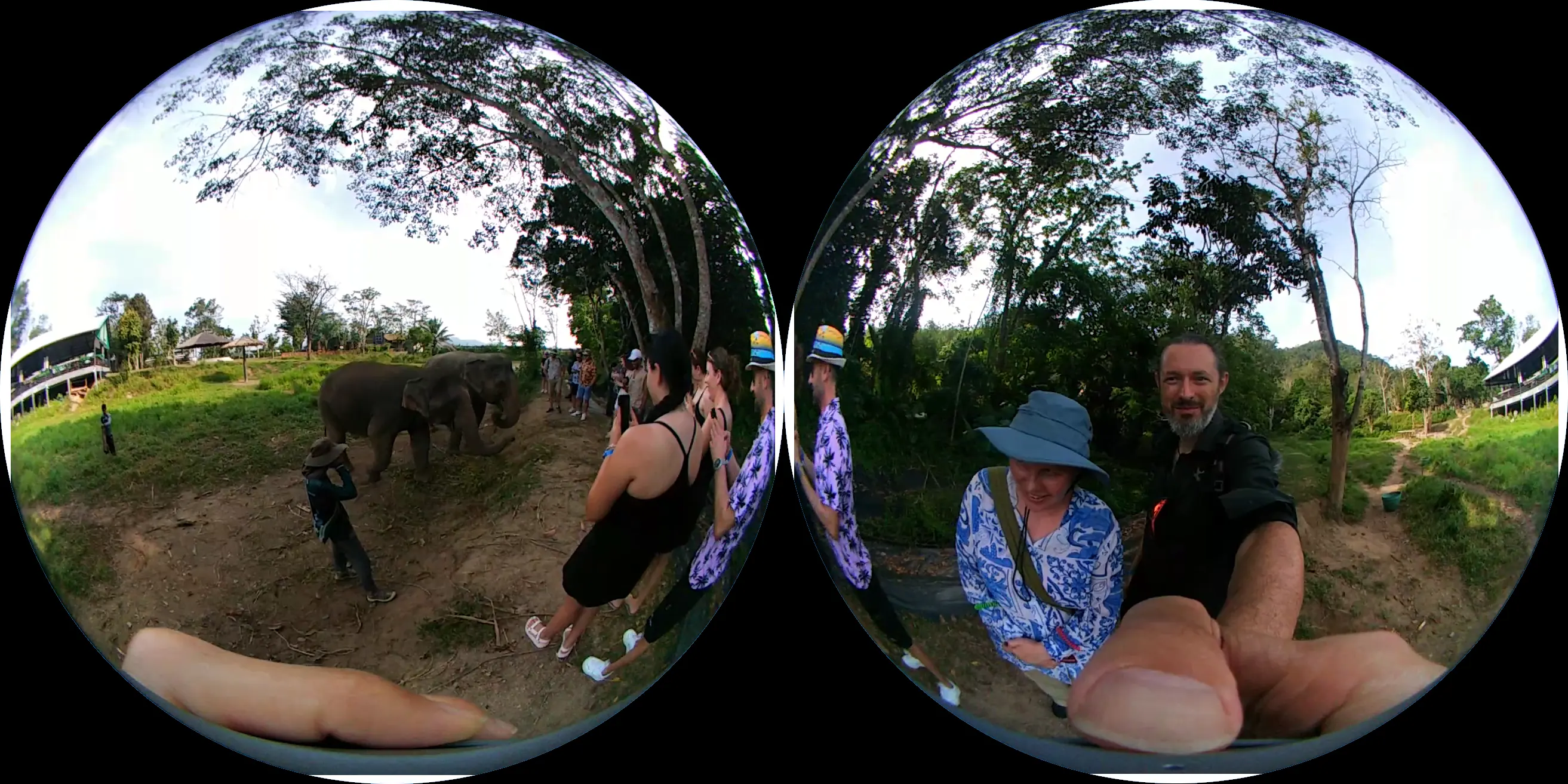 Two circular images with gaps between them.