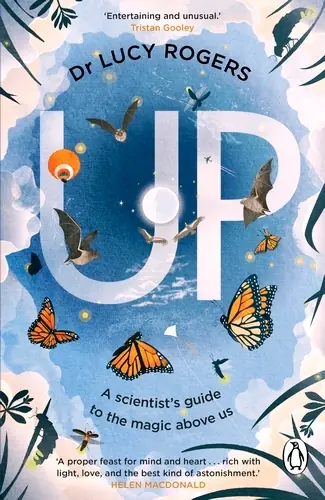 Book cover featuring butterflies and clouds.