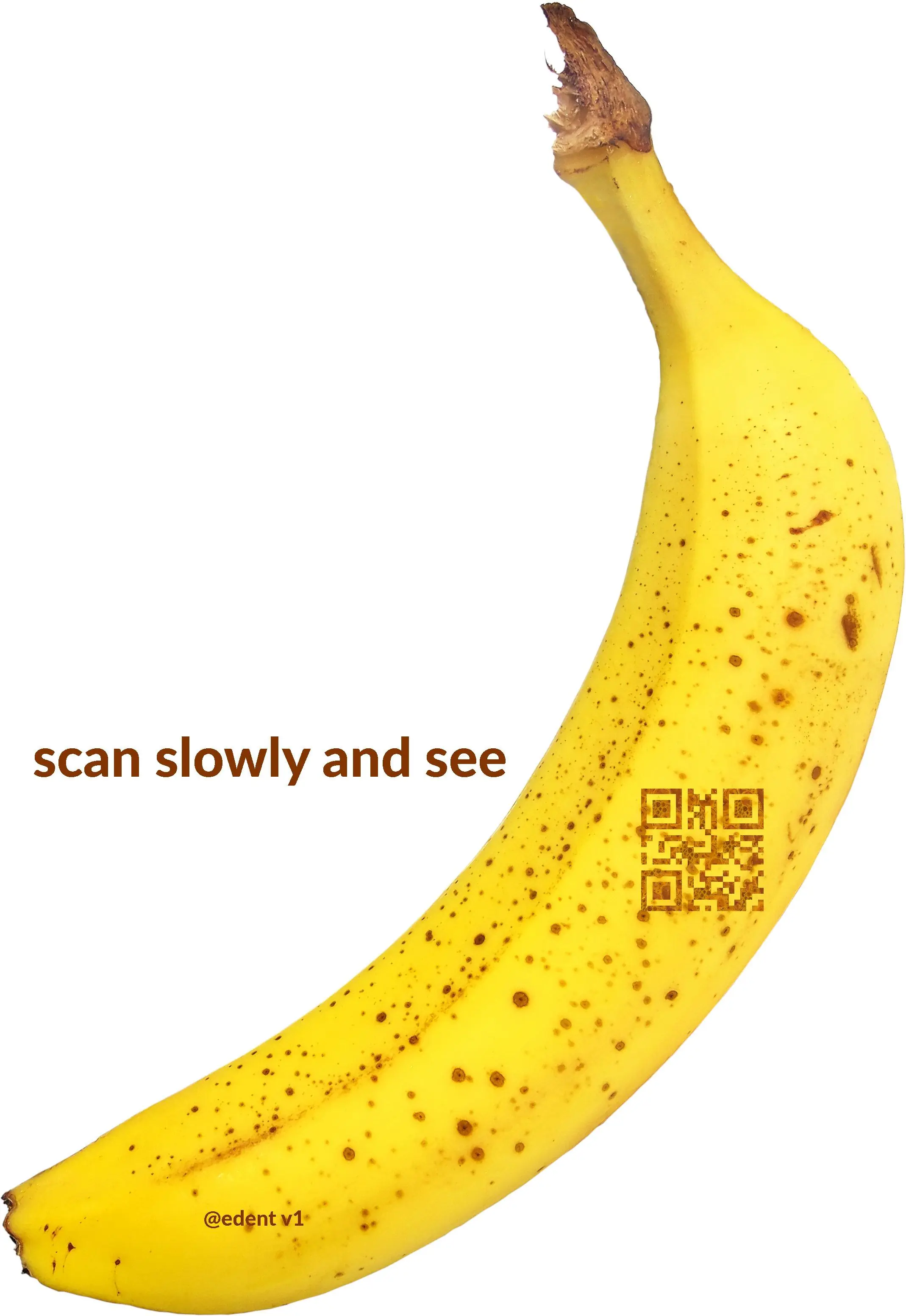 [RSS Club] Banana for scale