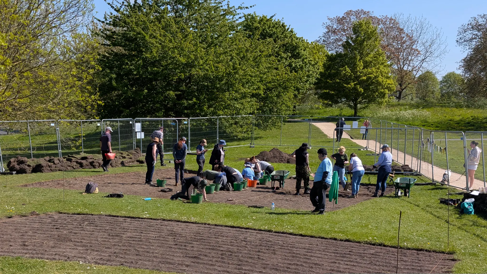 Trenches cut out of the ground. A row of volunteers are bent over.